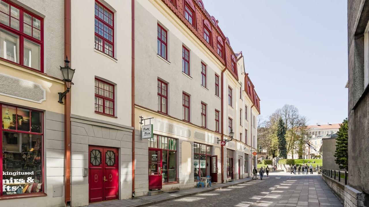Great Apartament In A Heart Of 塔林 外观 照片